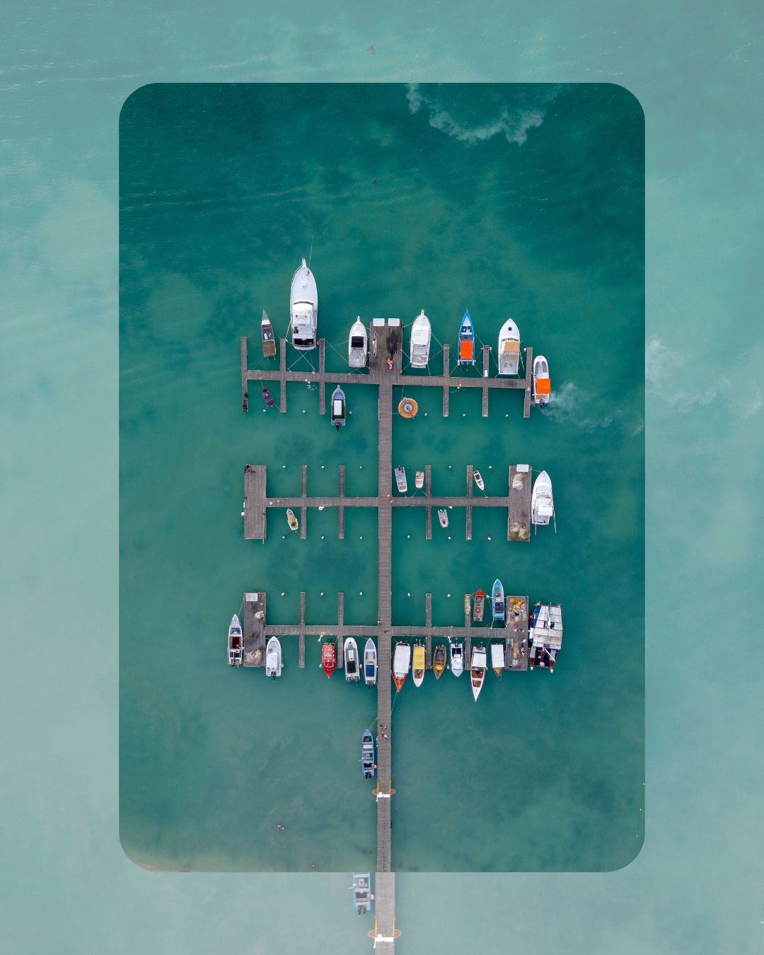Cuadro "Elevación Marina"