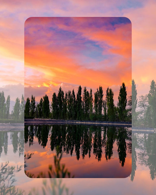 Cuadro "Pinceladas Vibrantes"